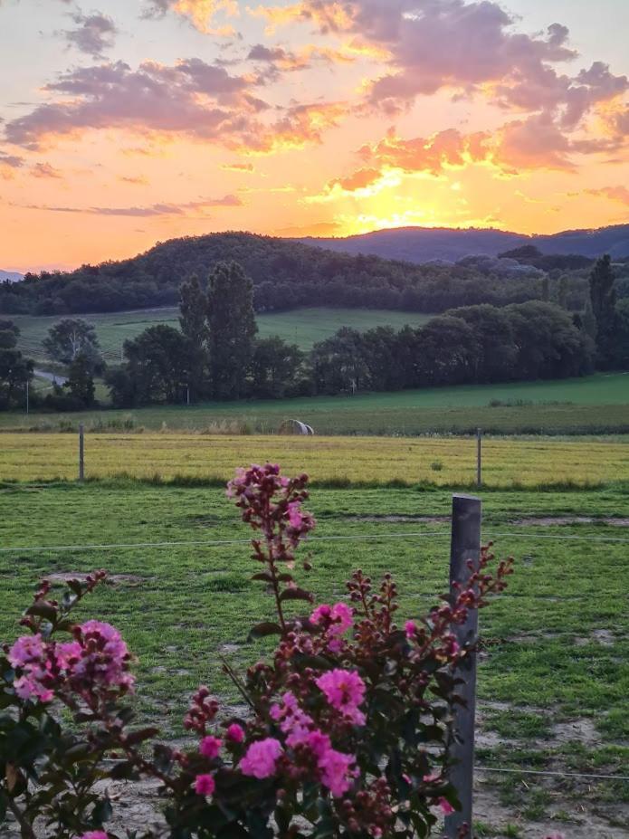 Gite De Charme La Martinelle La Bégude-de-Mazenc Dış mekan fotoğraf